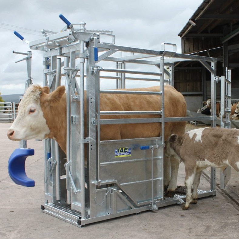 Agriculture and Smallholding - Walter Bailey Par, Cornwall